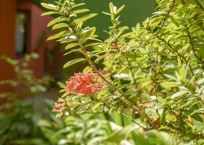 Pousada Sonhos de Praia, Fácil Acesso a Praia, Rua Mucugê e Beco das Cores Porto Seguro